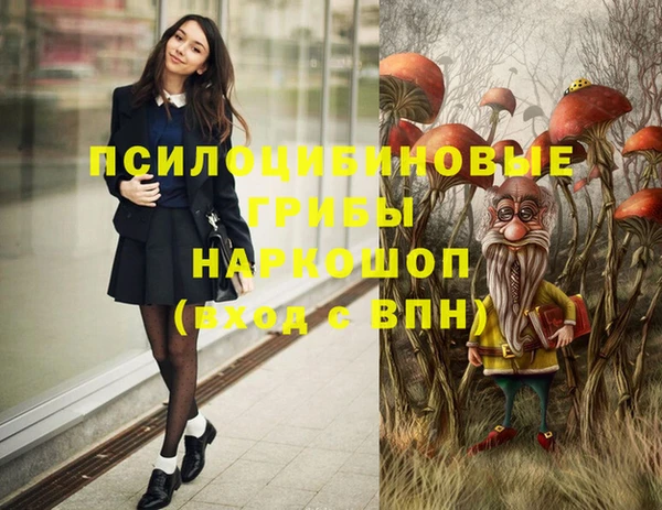 Альфа ПВП Армянск