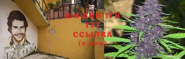 спайс Алексин